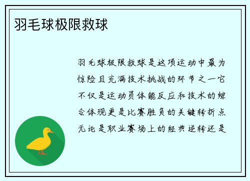 羽毛球极限救球