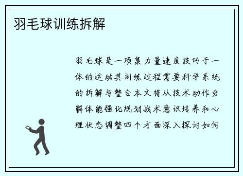 羽毛球训练拆解